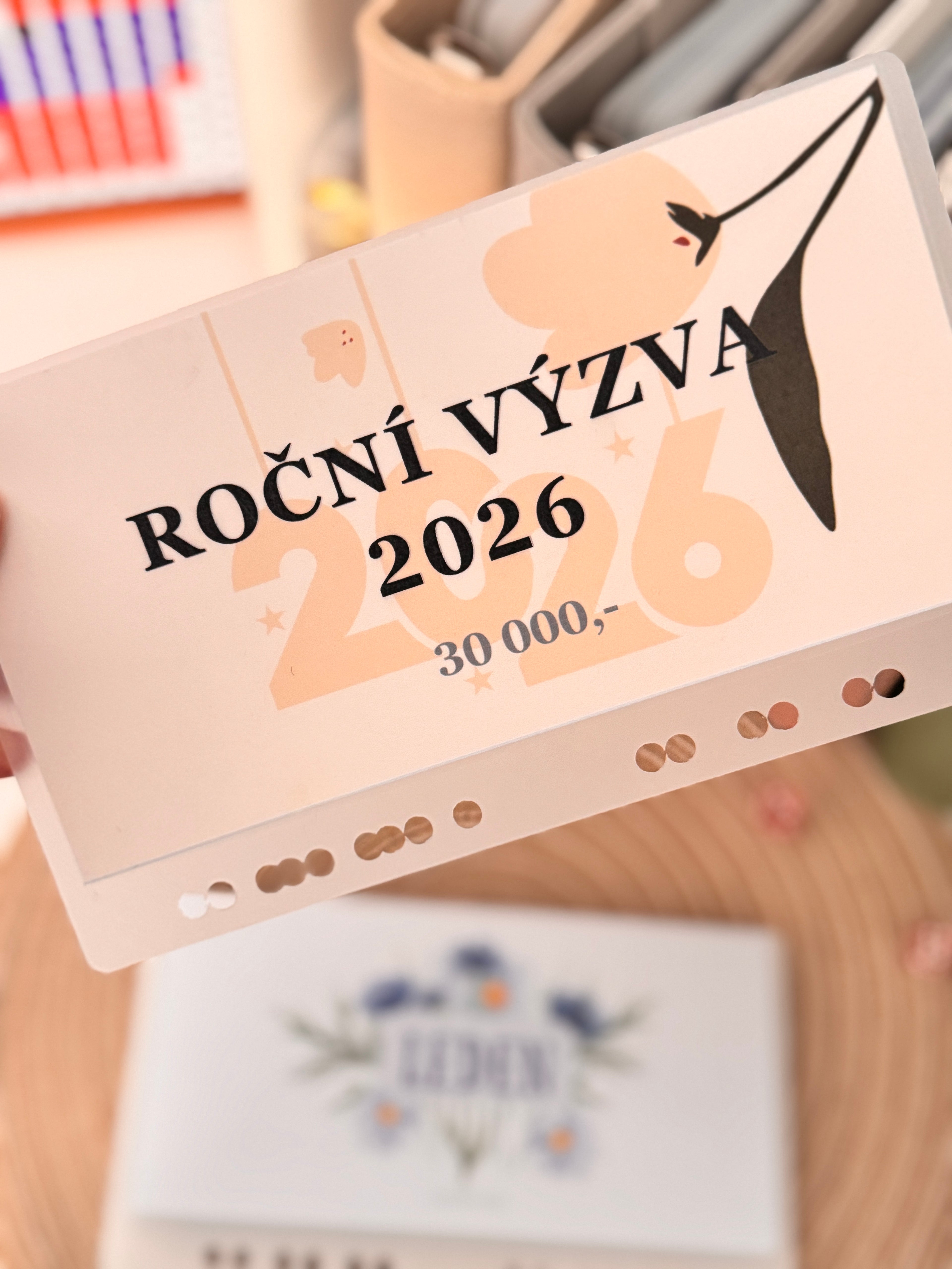 Roční výzva - 30.000,-